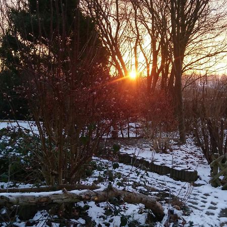 Country B&B Aabenraa Bagian luar foto