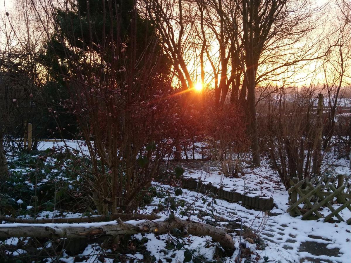 Country B&B Aabenraa Bagian luar foto